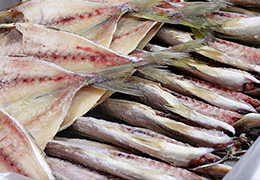 魚市場直送通販なら大一海産｜大阪本場WEB市場のギャラリー