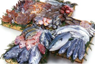 川常水産の”鮮魚”の一覧ページへ