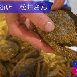 北海道からクリガニが入荷！松井商店の通販は新鮮な鮮魚揃い！
