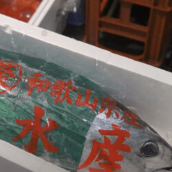 静岡のキンメダイ・和歌山のカツオが豊漁です！WEB市場通販情報