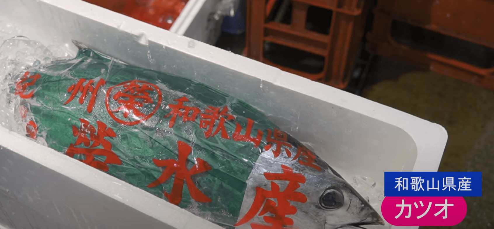 静岡のキンメダイ・和歌山のカツオが豊漁です！WEB市場通販情報