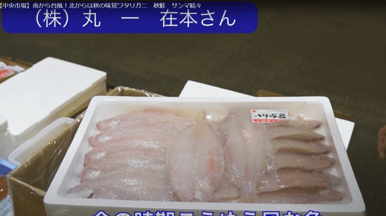 丸一通販の今のイチオシ!カレイの干物で一番美味い、笹かれいをご紹介! 大阪中央卸売魚市場の公式通販|大阪本場WEB市場