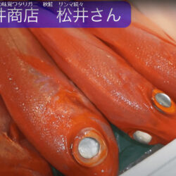 鮮魚と言えば松井商店！鮮度抜群キンメダイはお造り、煮付け、塩焼きも最高！