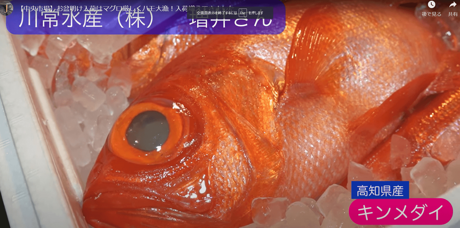 川常水産に高級魚・白アマダイや、煮付けに最高なキンメダイに注目！